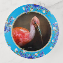 Ibis écarlate