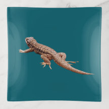 Lézard