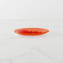 Verre botanique à marguerite orange