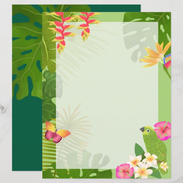 Vide vert paradis tropical (Devant / Derrière)