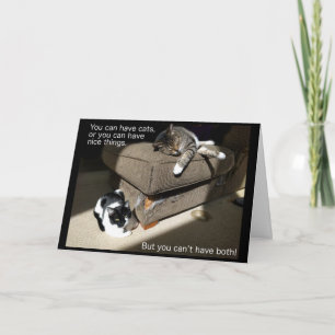 Vie avec carte Chats