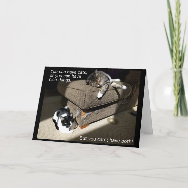Vie avec carte Chats (Devant)