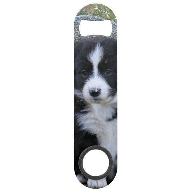 Vie de ferme de chiot Border Collie, (Devant)