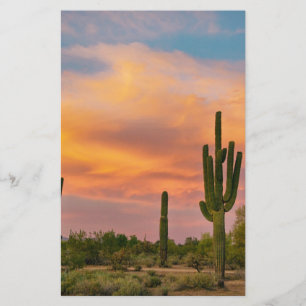 Vie du désert du Saguaro