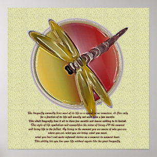 Vie d'une affiche de libellule