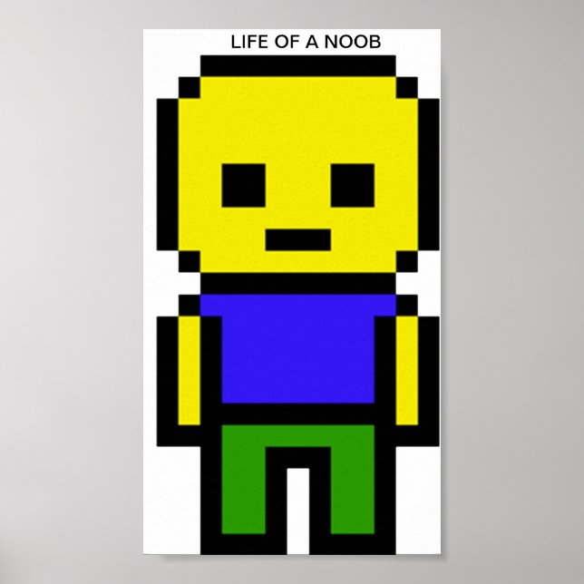 Vie d'une affiche de noob (Devant)