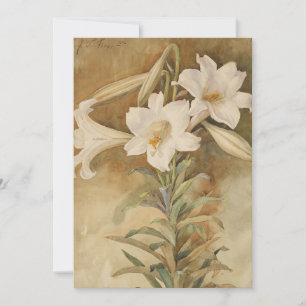 Vie morte des Lys de Pâques   John La Farge