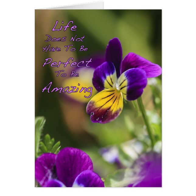 Vie parfaitement Extraordinaire (Devant)