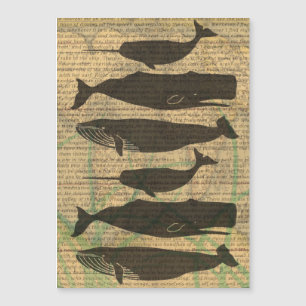 Vieille Baleine Nautilique Vieille Océan Vie Mari