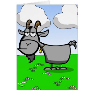 Vieille chèvre drôle
