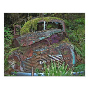 Vieille épave de voiture dans la photo de forêt