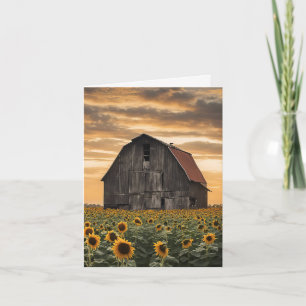 Vieille Grange En Fleurs De Soleil
