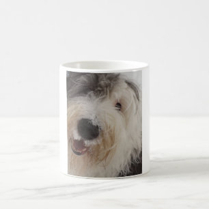 Vieille tasse anglaise de chien de berger - visage