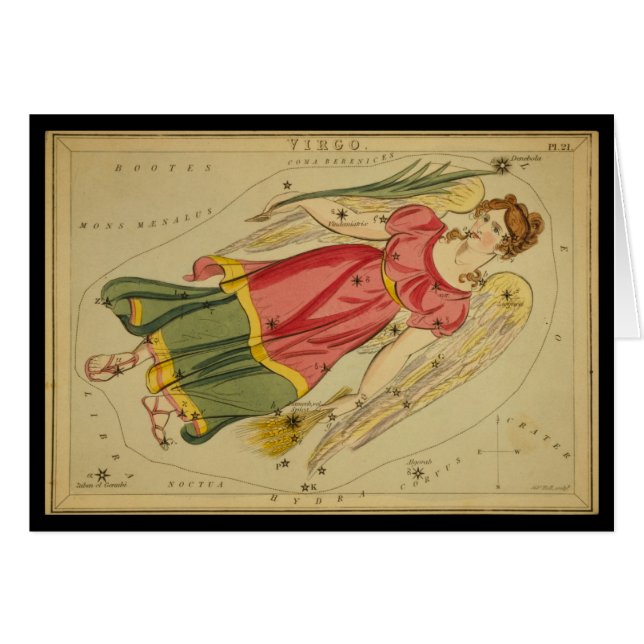 Vierge (Devant horizontal)