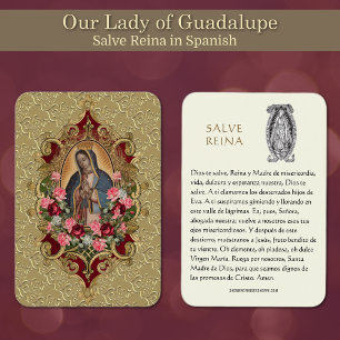Vierge Marie Salve Reina Espagnol Prière Carte Sai