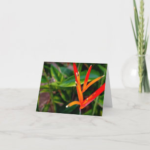 Vietnamien Heliconia Tous les Cartes pour notes d'
