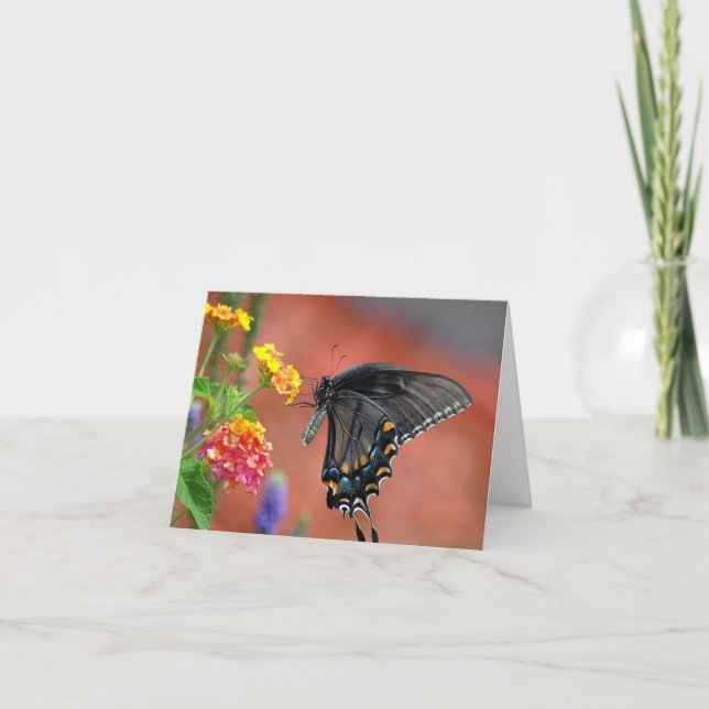 Vietnamien Lantana Tous les Cartes pour notes d'oc (Devant)