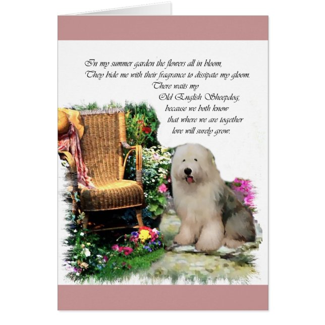 Vieux anglais Sheepdog Art Cadeaux (Devant)
