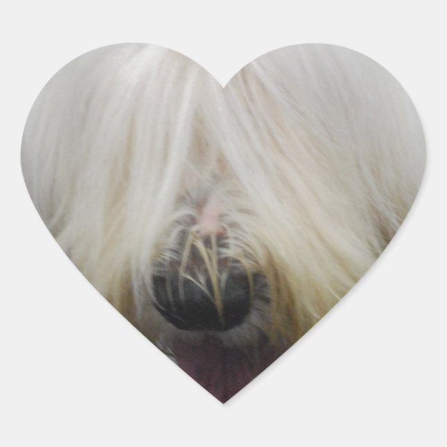 Vieux autocollants anglais mignons de chien de (Devant)