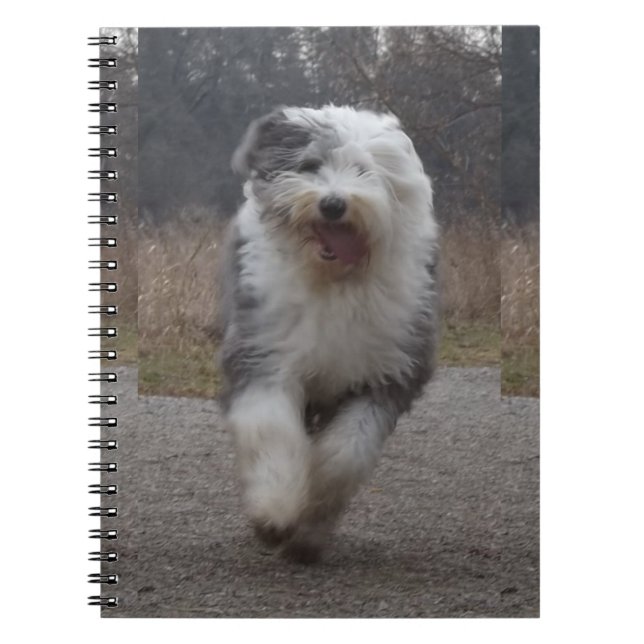Vieux carnet anglais de chien de berger - courez (Devant)