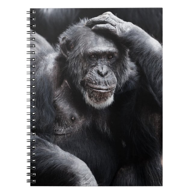 Vieux carnet de Chimpanzé (Devant)