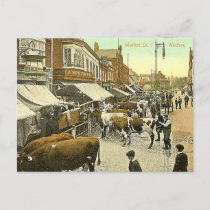 Vieux Carte Postale - Jour du Marché, Watford, Her