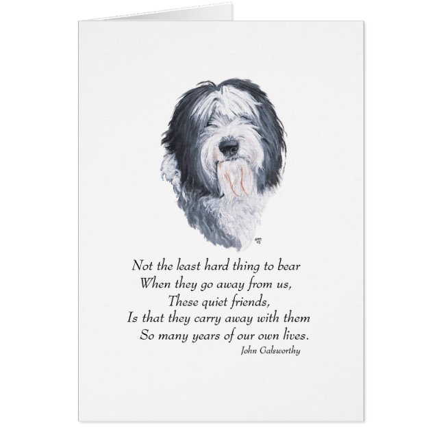 Vieux chien de berger anglais Rainbow Bridge (Devant)