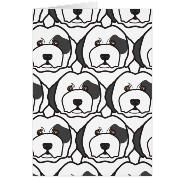 Vieux chiens de berger anglais (Devant)