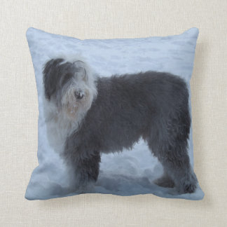 Vieux coussin anglais de chien de berger - chien