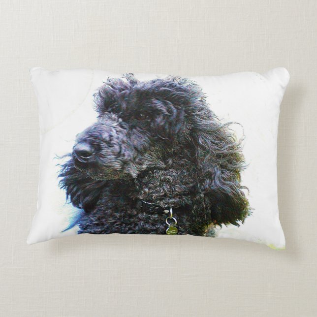 Vieux coussin bon marché de caniche (Dos)