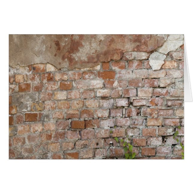 Vieux mur en briques (Devant horizontal)