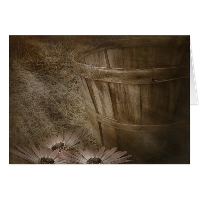 Vieux panier (Devant Horizontal)