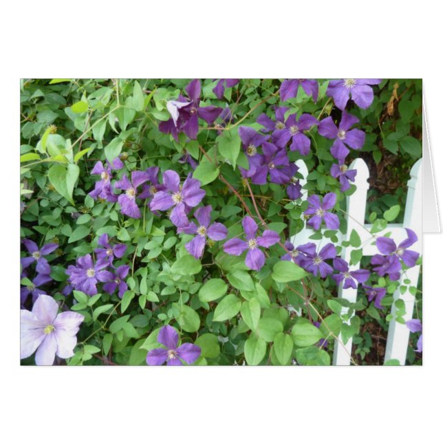 Vigne de remorquage (Devant Horizontal)