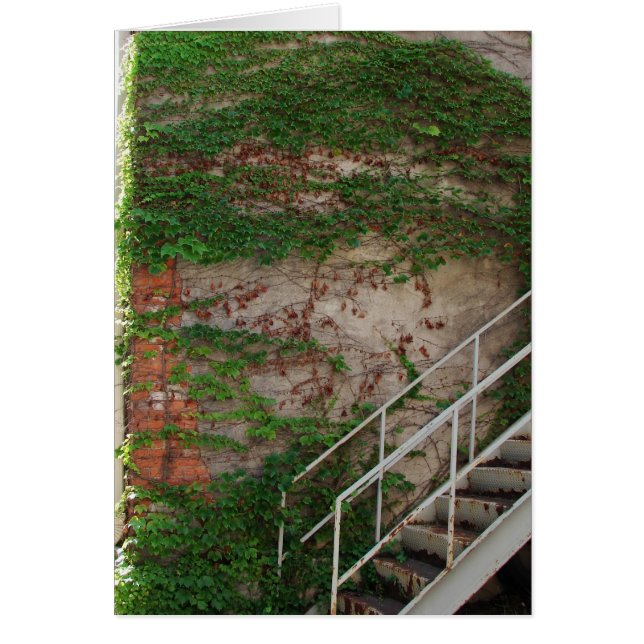 Vignes, Escaliers, Mur De Briques (Devant)