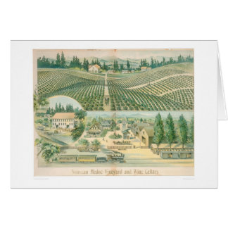 Vignoble de Nouveau Medoc et caves (1213A)