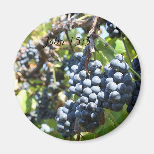 Vignoble de raisins John 15:5 Magnet