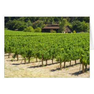 Vignoble d'établissement vinicole de Napa Valley