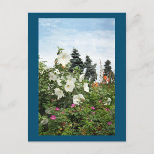 Vignoble Jardin Fleurs d'été Carte postale personn