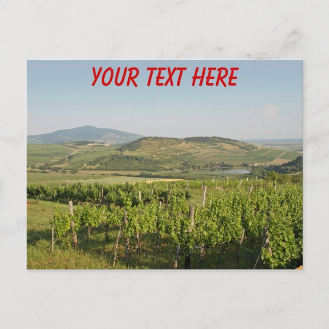 Vignobles de Tokaj, carte postale personnalisable  (Devant)