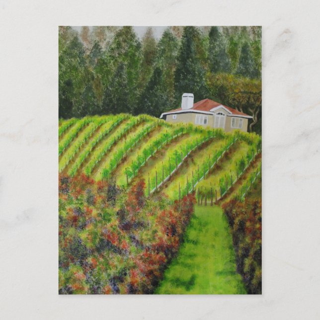 Vignobles en Healdsburg, CA Carte postale aquarell (Devant)