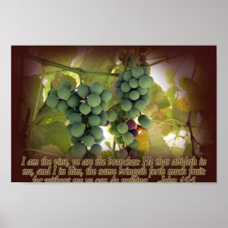 Vin et succursales John 15:5 Poster Imprimer