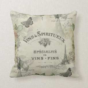 Vin vintage de Paris et coussin de roses