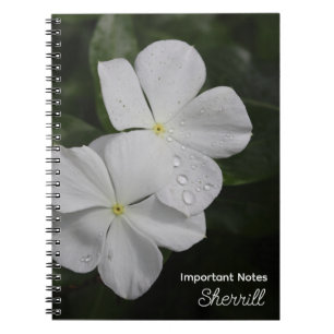 Vincas blanc Carnet personnalisé
