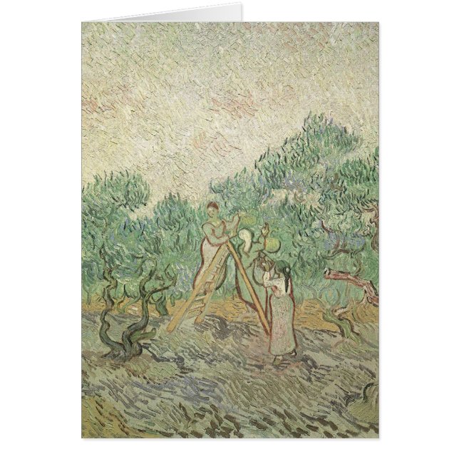 Vincent van Gogh - Cueillette des olives (Devant)