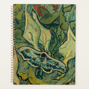 Vincent van Gogh - Giant Peacock Moth