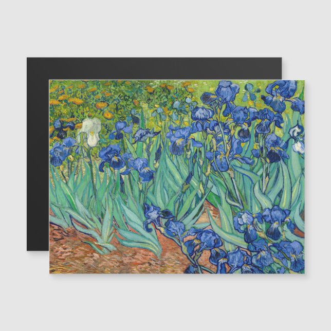 Vincent Van Gogh - Iris (Devant / Derrière)