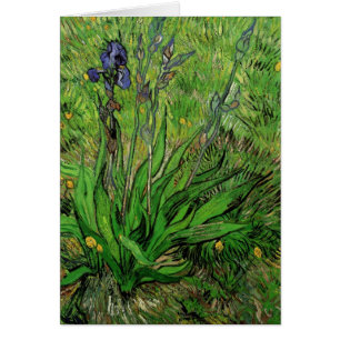 Vincent van Gogh - Iris
