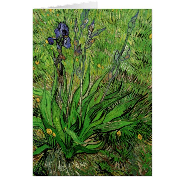 Vincent van Gogh - Iris (Devant)