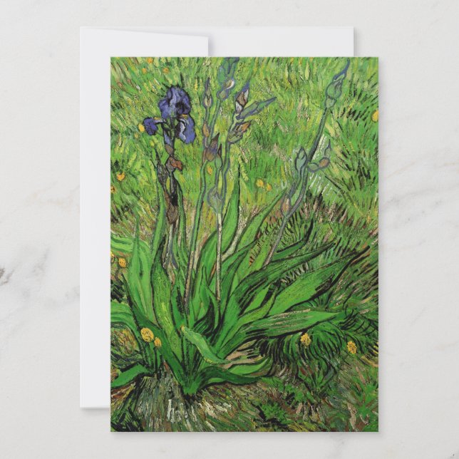 Vincent van Gogh - Iris (Devant)