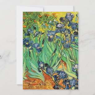 Vincent van Gogh,Iris